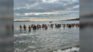 Over 100 men plunge into the cold waters at Cherry Beach for men’s health