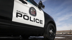 Police seeking public assistance investigating northeast Calgary hit-and-run