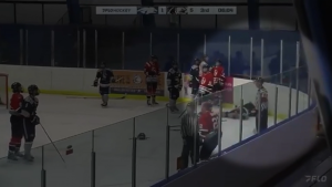 B.C. junior hockey player suspended 31 games for choking opposing goalie during brawl