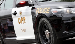 Police searching for witnesses after man allegedly assaulted on Highway 401 off ramp in Whitby