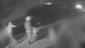 Video shows two vehicles set on fire in Vaughan