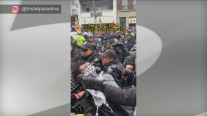 Organizers of pro-Palestinian rally in Toronto call for investigation amid accusations of police brutality
