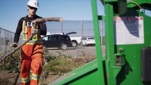 Lethbridge opens 3 seasonal yard waste sites Tuesday