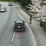 Cherry blossom enthusiast called out for stopping car in bus lane, getting out to take photo