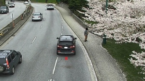 Cherry blossom enthusiast called out for stopping car in bus lane, getting out to take photo