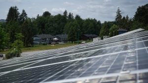 BC Hydro wants more clean power to help meet demand, clean energy targets
