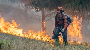 B.C. to get wildfire training and education centre in response to expert task force