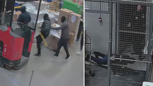 Video shows police intercept break-and-enter at Richmond Hill warehouse involving a dozen suspects
