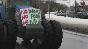 300 Quebec farmers stage protest, saying it's tough to make a living