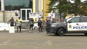 1 arrested at animal rights protest in northwest Edmonton Saturday