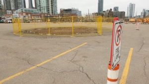 Stampede Elm comes down after more than 125 years