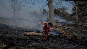 Here’s why you may smell smoke near Toronto’s High Park