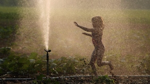 Metro Vancouver water restrictions coming May 1 as snowpack near historic low