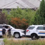 DNA tests show dogs killed B.C. woman, not bear as first thought: coroner's report