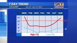 Warnings issued for Calgary due to winter weather conditions