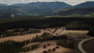 Judge orders Alberta to produce massive trove of coal documents after four-year fight