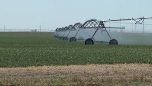 Voluntary water limits put in place in face of possible Alberta drought