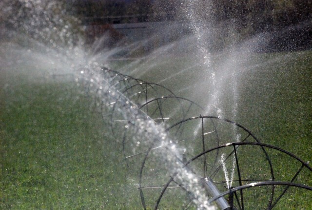 Water restrictions for all Kelowna water users coming amid drought