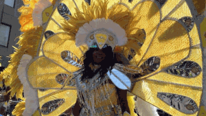 Caribbean festival coming back to Montreal this summer