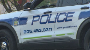 Police investigate more than a dozen complaints of damaged vehicles on residential street in Mississauga