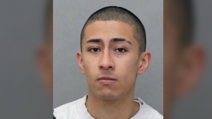 Police searching for man wanted for assaulting woman in Toronto’s west end
