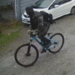 Stranger tried luring 11-year-old girl in East Vancouver, police say
