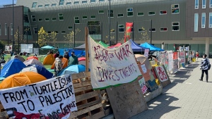 B.C.'s human rights commissioner calls on universities to protect student protesters