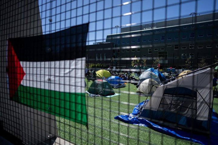 Gaza war: B.C. human rights watchdog backs ‘peaceful encampments’