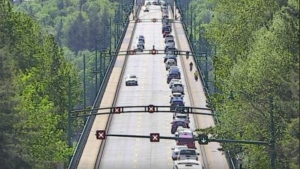 Downed tree closes Lions Gate Bridge, 'major delays expected'