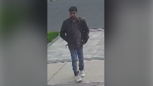 Police looking for suspect accused of sexually assaulting woman walking her dog in Markham