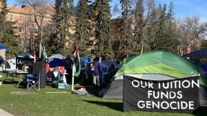 Police crackdown on Gaza protest encampments on campus sparks outcry