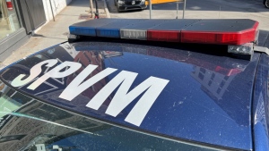 Dead body found in Montreal's Plateau-Mont-Royal borough, police investigating