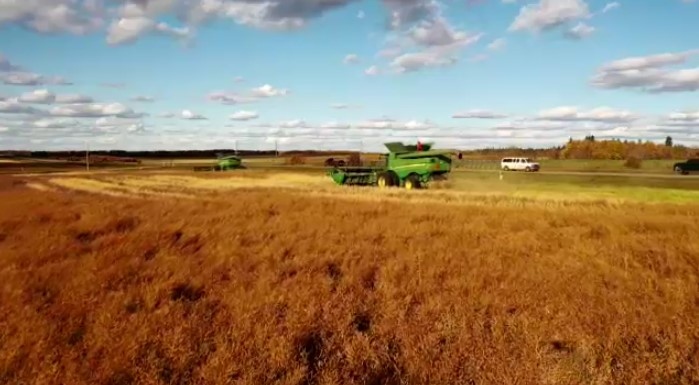 Seeding progress growing in Manitoba: Crop report