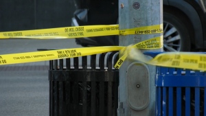 Police investigate southeast Calgary stabbing