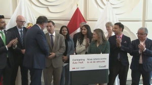 Feds unveil national plan to tackle auto theft, including criminal code changes