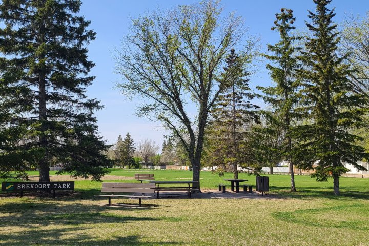 Flood control project starts up in Saskatoon’s Brevoort Park neighbourhood