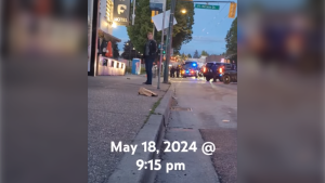 Vancouver police say suspect threw feces at officers prior to Hastings Street takedown