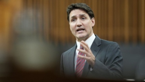 Trudeau endorses proposal outlined by Biden to wind down Israel-Hamas war