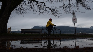 'June-uary' returns to Metro Vancouver, up to 60 mm of rain expected ...