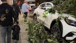 Vancouver driver arrested after crashing into vehicles, narrowly missing pedestrians