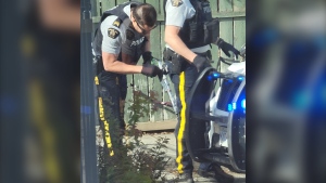 Police seize loaded, prohibited rifle from woman in Merritt, B.C.