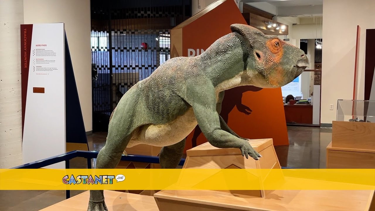 Dinosaurs of B.C. fill the Okanagan Heritage Museum in Kelowna