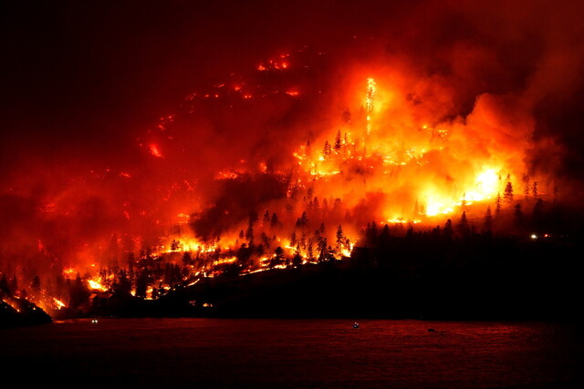 B.C.'s wildfires are 'different beasts' than those seen in past decades