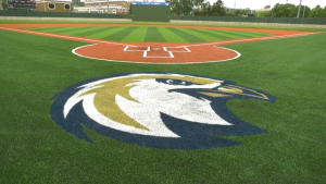 Edmonton Riverhawks hoping to attract fans with jam-packed calendar of theme nights