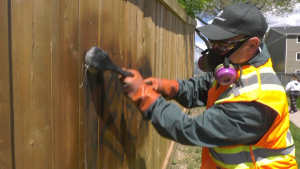 City program helps Edmonton property owners pay for graffiti clean-up
