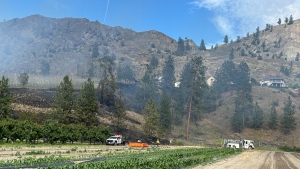 Firefighters quickly extinguish Okanagan Falls brushfire