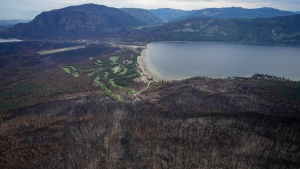 B.C. looks into post-fire mushroom picking rush after First Nation reports conflicts