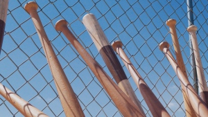 $3,000 in baseball gear stolen from New Westminster field: police