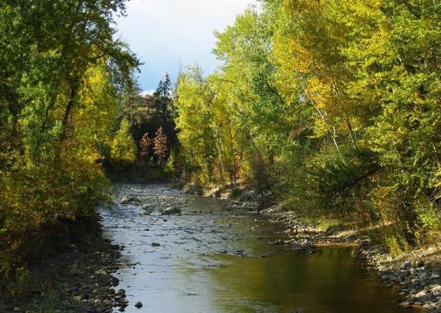 Flood mitigation work planned for Mission Creek Regional Park this ...