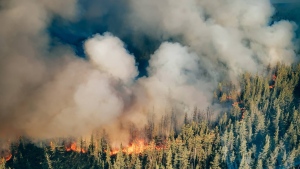 Forest fire protection agency calls for vigilance in Eastern Quebec